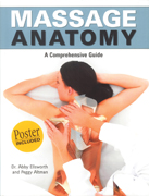 Massage Anatomy