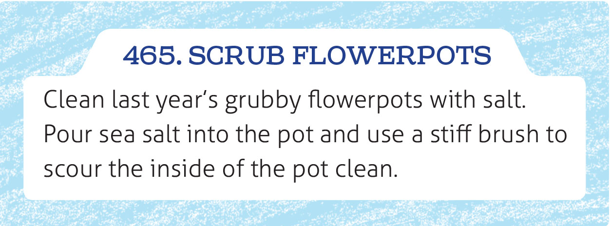 Scrub Flowerpots