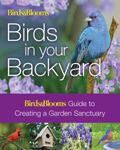 Birds in Your Backyard